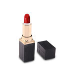 Verpacken schwarzes leeres des ABS-quadratisches Lippenstift-Rohr-Plastik-kundenspezifisches Make-up3g